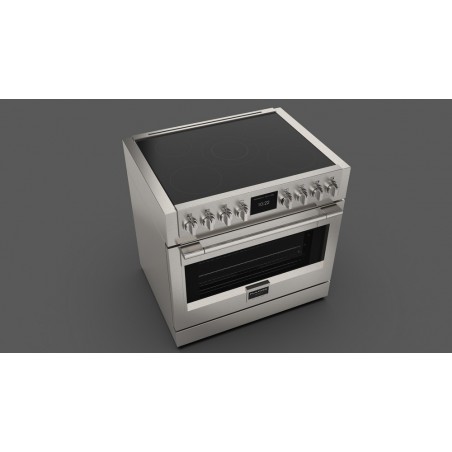 FSRC 3605 P MI MK 2F X