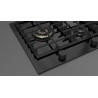 FPH 755 G WK BKG