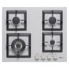PMSP60179WS