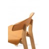 Back-Wing 560