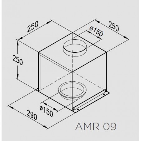 AMR 09