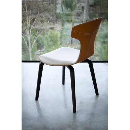 Montera 5559001