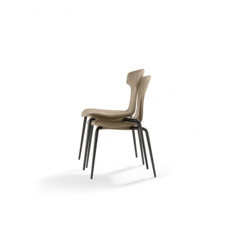 Montera 5559001