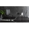 Sedia_Eral