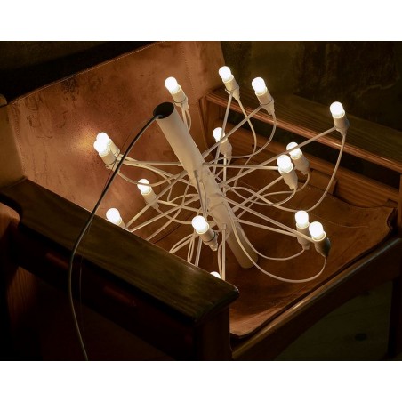 2097/18 FROSTED BULBS