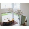 2097/50 FROSTED BULBS