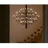 2097/75 CLEAR BULBS