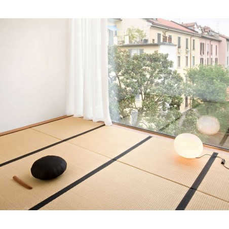 GLO-BALL BASIC 1