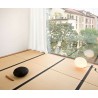 GLO-BALL BASIC 1