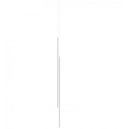 MY LINES