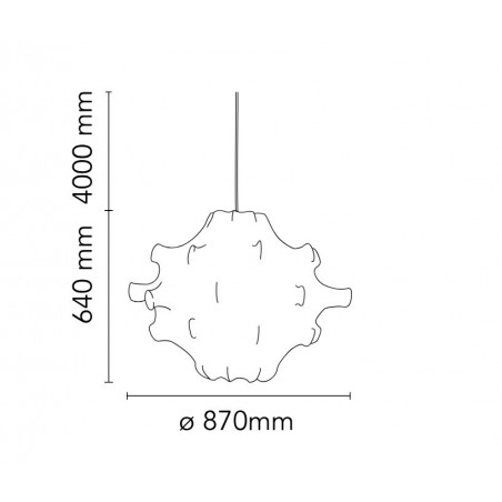 TARAXACUM S2 COCOON