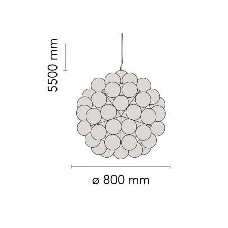TARAXACUM S1