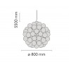 TARAXACUM S1