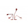 AR TOLOMEO MICRO