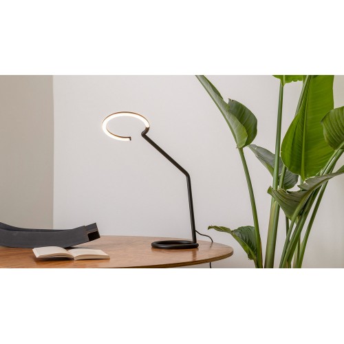 AR VINE LIGHT