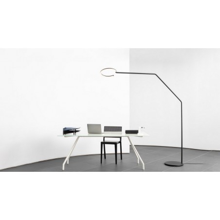 AR VINE LIGHT