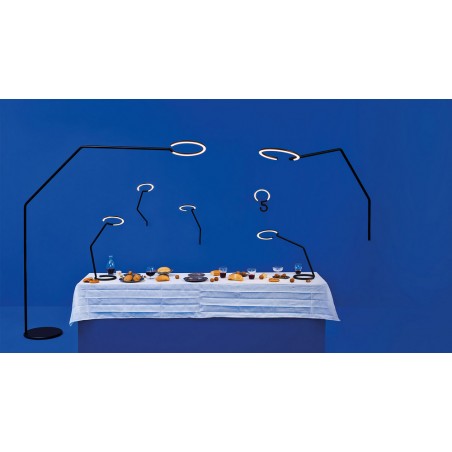AR VINE LIGHT