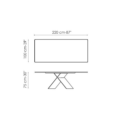 AX_220