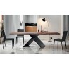 AX_250
