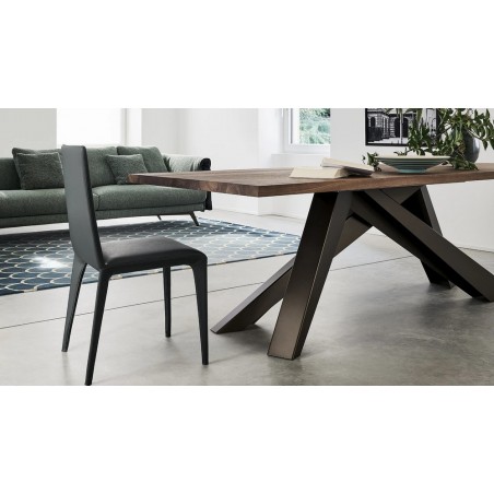 Big_Table_250