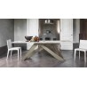 Big_Table_250