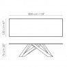 Big_Table_300x120
