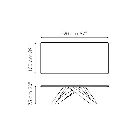 Big_Table_A220
