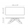 BigTable10th_250