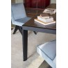 Tavolo Ext Longplane 481