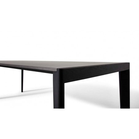 Tavolo Ext Longplane 481