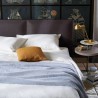 Queen Acute L42 Versione A