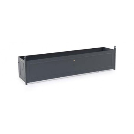 SOLAIRE ROSETTA