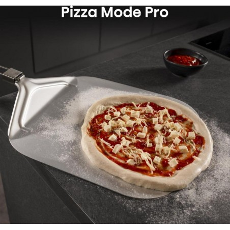 HO66FPIZZACHEF