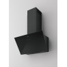 AF000060
