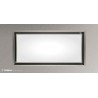 CCGAB10030