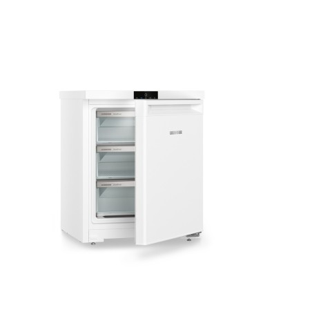Fe 1003