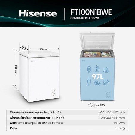 FT100N1BWE