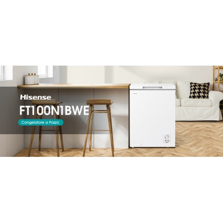 FT100N1BWE