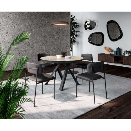 Emisfero T244