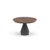 Lycos Legno T203