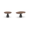 Lycos Legno T203