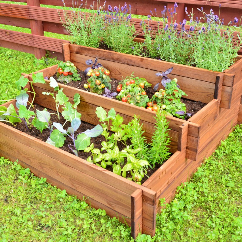 Losa Exteriors pour découvrir le potager Tris EK/ORTRIS