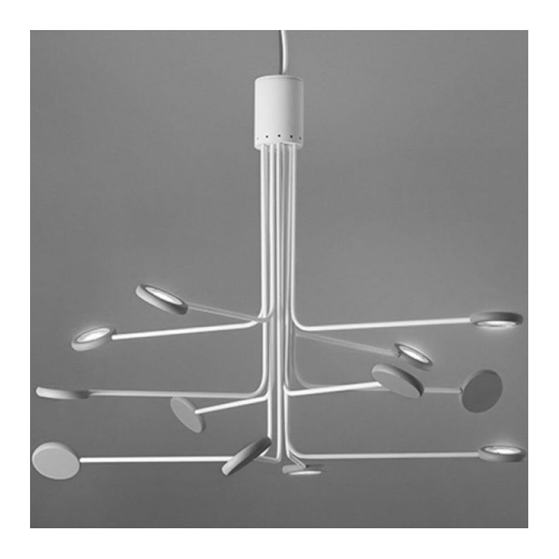  Minitallux Arbor 12 LED ceiling lamp in different finishes by Icons Luce