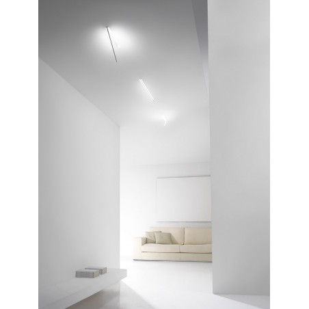 Spillo 1i.42