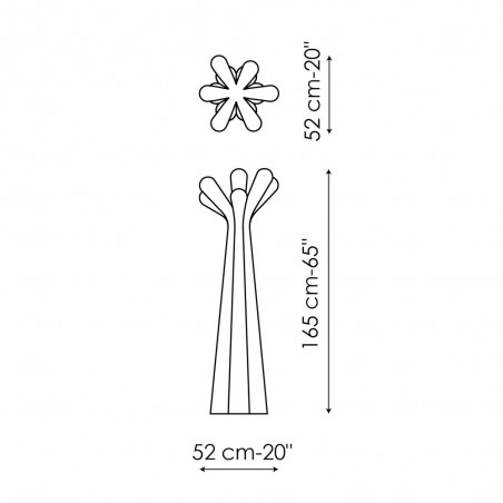 Appendiabiti_Anemone