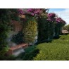 RIPPLES OUTDOOR IE7225