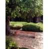 RIPPLES OUTDOOR IE7225
