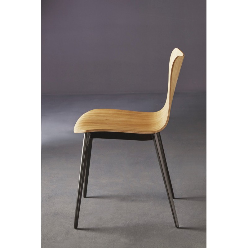 Dandy.tt 1453 Colico Chair Dandy.tt art. 1453 with steel structure and wooden seat