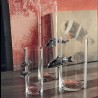 Illusion Fish C18/P