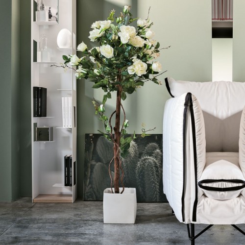Albero Rose L109